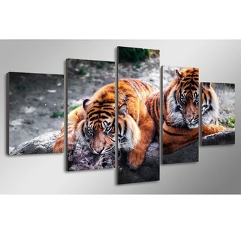 Stene Moderne Slike Home Art Okras Okviru Modularnega 5 Plošči Živali Tiger HD Tiskanja Slikarstvo Na Platno Za dnevno Sobo