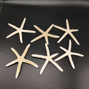 Vroče 2 Kos 10-12 cm, Belo Naravno Prst Zvezda Obrti Dekoracijo Naravnih Sea Star DIY Plaži Koči Poroko Dekor Dropshipping